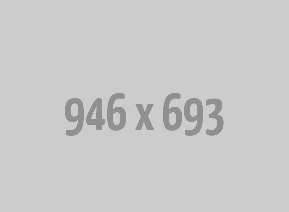 Mengapa Memilih MODALPETIR88?